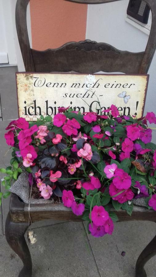 Fewo 1 Waren Mueritz - Haus Buchen Am Tiefwarensee - 1 Zi المظهر الخارجي الصورة